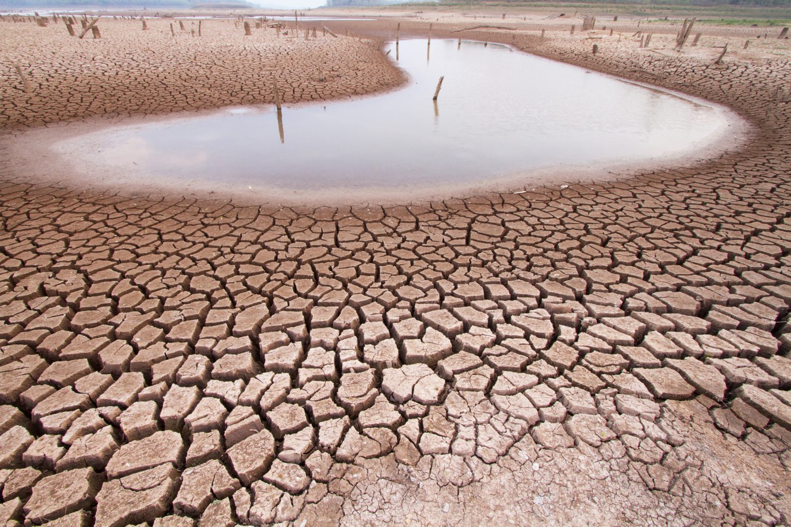 Climate Change and Excessive Water Use Linked to Significant Drying of World’s Lakes