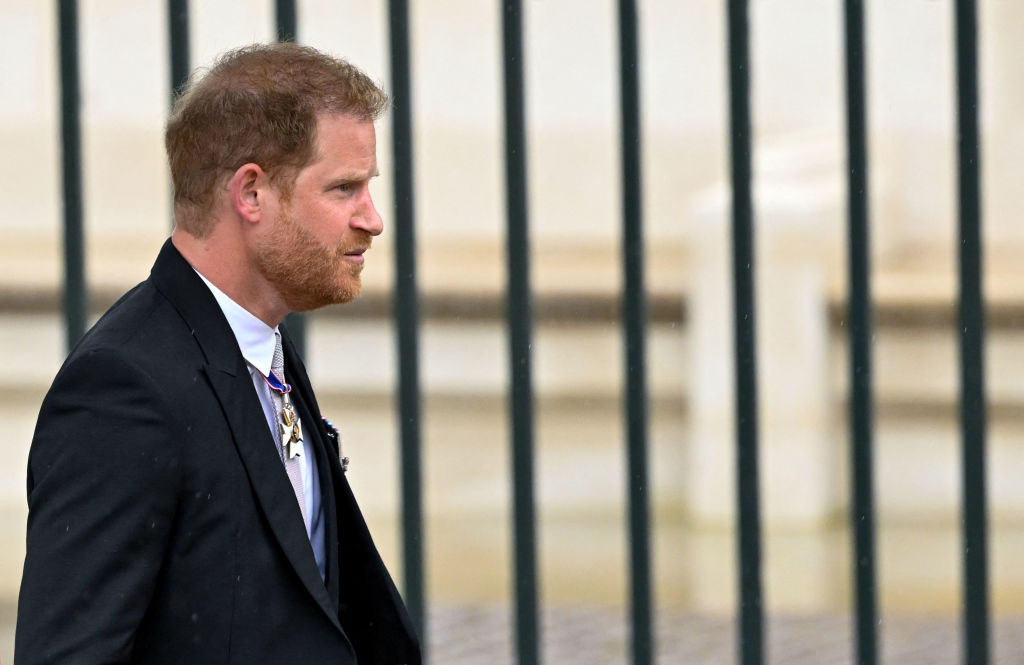 Transparency in Immigration: The Case of Prince Harry and Its Implications